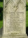image of grave number 251129